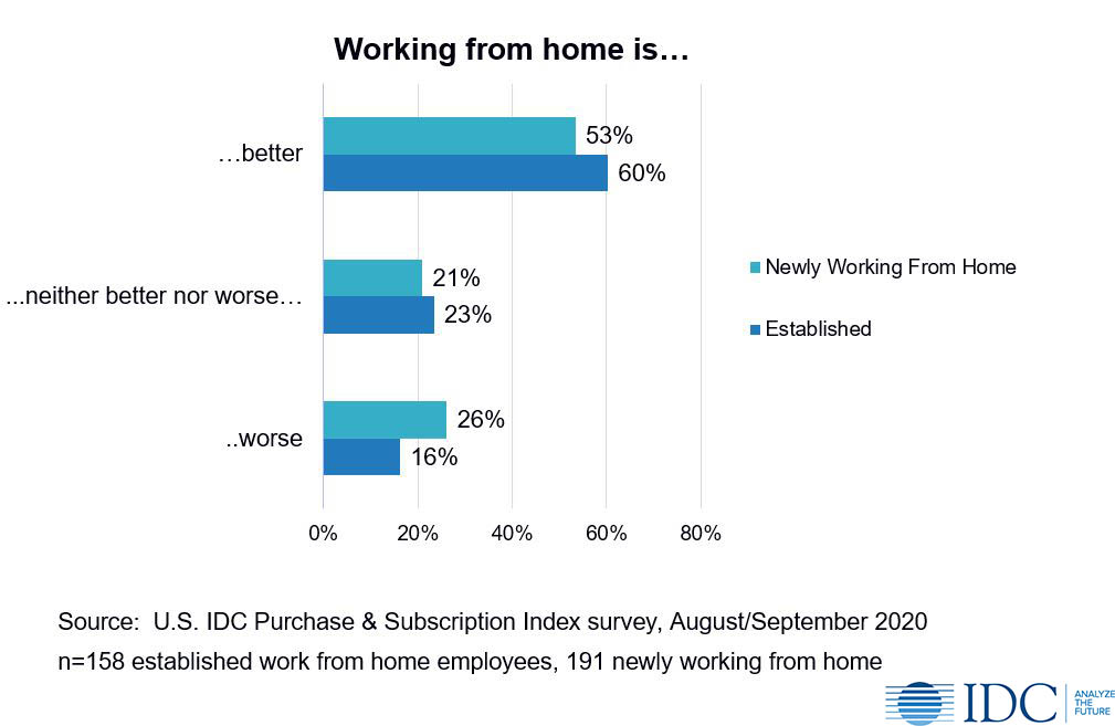 IDC Work from home data preferences for first time remote workers October 2020 