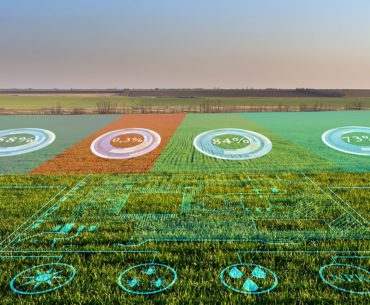 agriculture farm fields with data overlaid