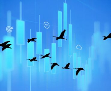 Birds flying in blue background